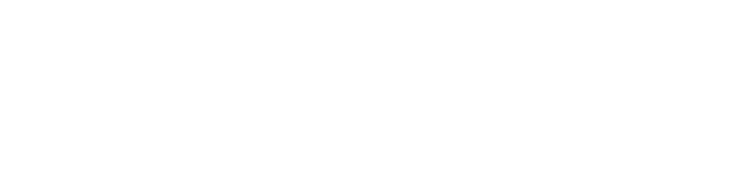 logo dzm hanau quer weiss